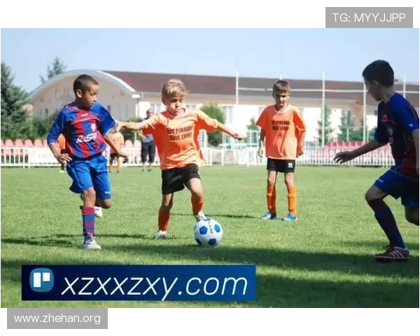 星空体育综合app官网详细解析体育赛事直播、互动社区与个性化推荐功能